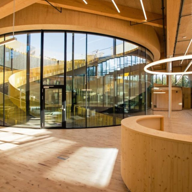 Junckers Solid 2-Strip Maple Variation